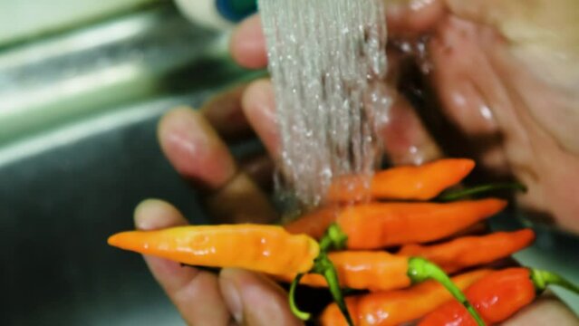Close Up Man Hands Washing Vegetables Hot Chilli Peppers under Tap Water at Home