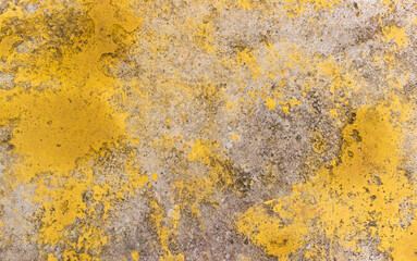 Yellow grunge texture for background