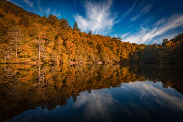 gorgeous lake and reflections in autumn