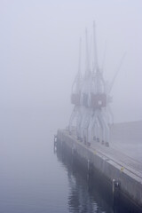 Harbor cranes in the fog