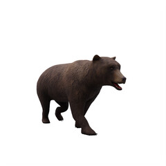Fototapeta premium brown bear isolated on white