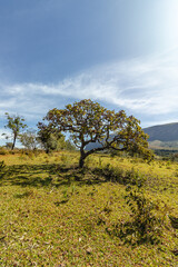 national landscape in Serra da Canastra, Minas Gerais State, Brazil