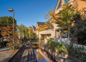 Fototapeta premium 日本の住宅地