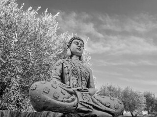 Buddha composition in black and white, image of reflection and tranquility
