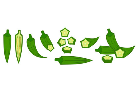 Fresh okra or ladyfinger.Whole, slices and half cutted.Green fruit or vegetable.Ingredient and food.Sign, symbol, icon or logo isolated.Flat design.Cartoon vector illustration.Graphic.Clipart.