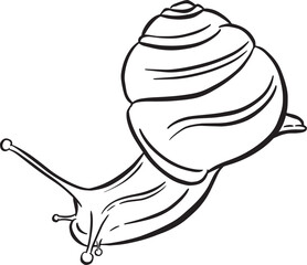 Line Art Outline of a Garden Snail with Shell for Logo or Mascot Design in Vector Illustration