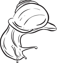 Line Art Outline of a Garden Snail with Shell for Logo or Mascot Design in Vector Illustration