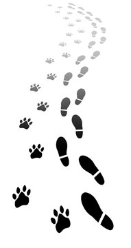 Two trails of black footprints (comics silhuoette shapes of cat paw or similar, together with a man's shoes), going from bottom to top in a 3D space and fading in the distance.
