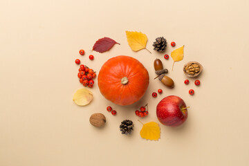 Festive autumn flat lay with pumpkins, berries and leaves on color background, top view