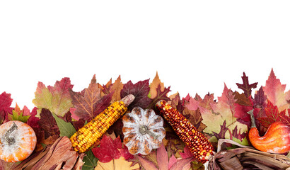 Autumn or fall leaf border with leaves and gourds on transparent background for the Thanksgiving holiday season