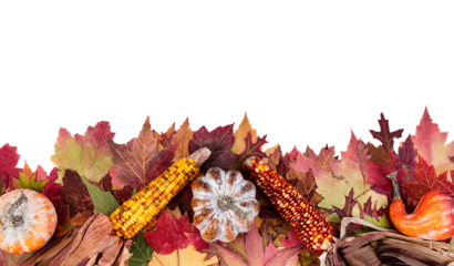 Autumn or fall leaf border with leaves and gourds on transparent background for the Thanksgiving holiday season
