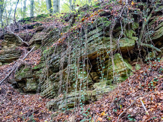 Sandstein Felsen im Wald