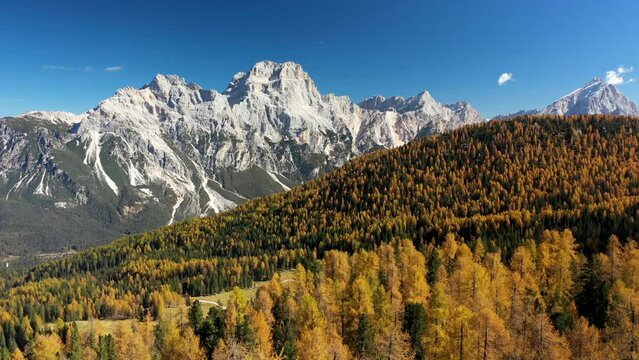 Aerial view in 4K of autumn leaf colored mountain landscape in the dolomites with orange larch trees and massif of mountains on sunny day
