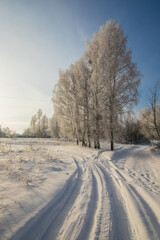 Fototapeta na wymiar winter landscape in the forest