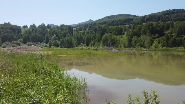 Pan shot of cloudy water lake with trees and cane on shores and mountain forest on background when sunny summer and clear sky