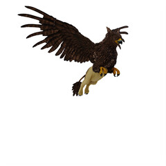 Griffin or griffon a legendary creature with the body of a lion, the head and wings of an eagle