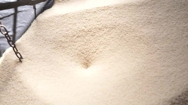 making rice noodles.
grain supply and preparation process