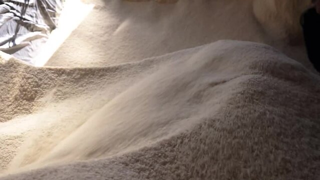 Assar Bilder Durchsuchen 3,781 Archivfotos, und Videos