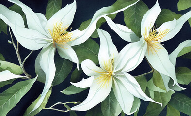 Fototapeta na wymiar Flowers of Cananga odorata. Ylang-ylang is one of the most extensively used natural materials in the perfume industry, earning it the name 
