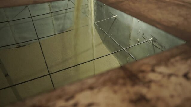 making rice noodles.
grain supply and preparation process