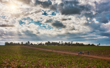 child running in the field