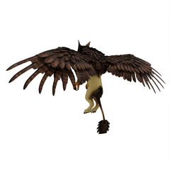 Griffin or griffon a legendary creature with the body of a lion, the head and wings of an eagle