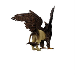 Griffin or griffon a legendary creature with the body of a lion, the head and wings of an eagle