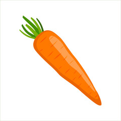 carrot isolated on white