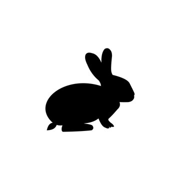 rabbit illustration logo design on black and white background