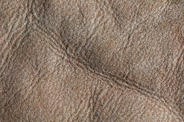Fototapeta premium Background image of soft suede beige carpet. Dressing sheep wool closeup texture background. Top view.