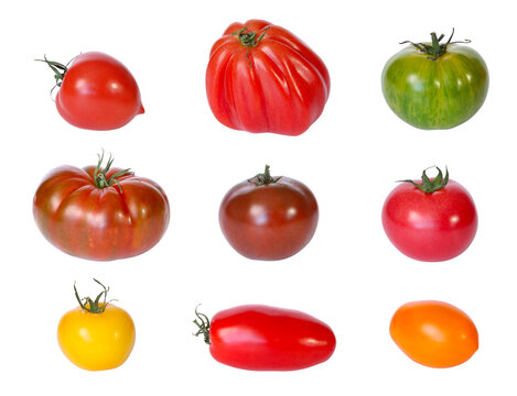 Tomates variétés anciennes	