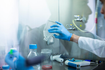 cell culture at the laboratory