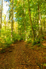 Kleine Herbstwanderung durch die Landschaft von Jena - Thüringen - Deutschland