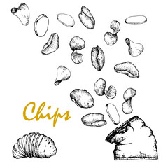 Chips.Black and white sketch, hand drawn, Vector, isolated on white background, bag of chips of different shapes.For packaging, design of bars, menus, labels