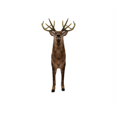 Naklejka na ściany i meble Deer stag isolated