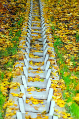 Rainwater drain made of concrete blocks autumn