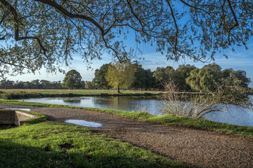 Footpath across the pond