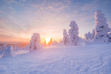 winter landscape with snow