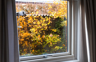 View from the window to the garden in the autumn on a rainy day. Raindrops on the window glass.
