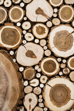 Background of cross section of round cut logs of various sizes. Wall of cut brown logs with bark, cracks and texture of tree rings. Cut tree trunk. Firewood, stumps, lumber. Wooden background pattern.