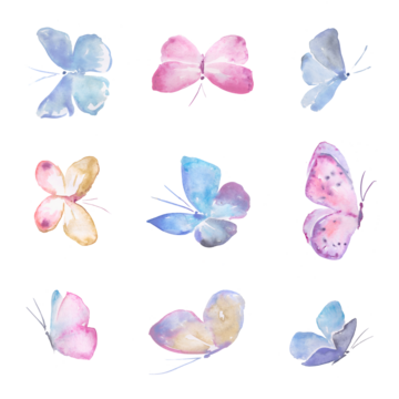 Butterflies, colorful butterflies, insects, watercolor illustration  ilustración de Stock | Adobe Stock