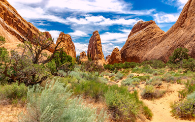 Fototapeta premium Rock Formation in Moab Desert, Arches National Park