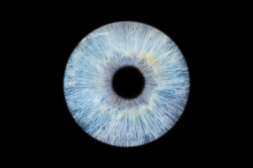 Human eye pupil close up isolated on black background