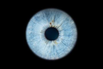 Human eye pupil close up isolated on black background