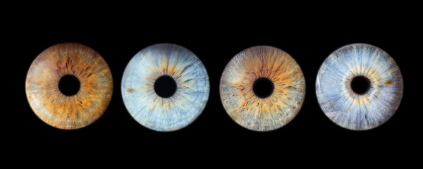 Human eye close up detail four pack isolated