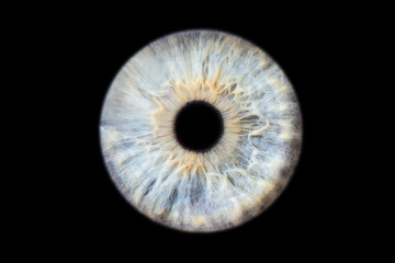 Human eye pupil close up isolated on black background