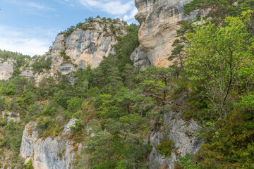 Gorges of Tarn seen from hiking trail on the corniches of Causse Mejean above the Tarn Gorges.