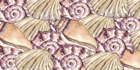 Watercolor sea shell. Hand drawn seashells texture vintage ocean background.