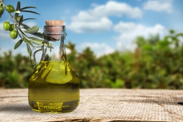 Tasty natural olive oil, food concept