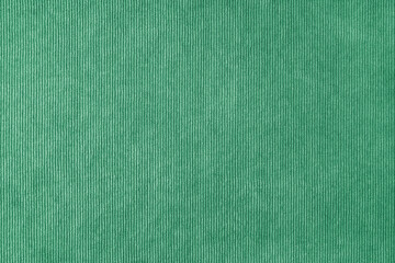 Texture background of velours green fabric. Upholstery velveteen texture fabric, corduroy furniture...